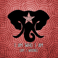 Mashup-Germany - I am who I am (Am I wrong) by mashupgermany