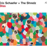 Eric Schaefer &amp; The Shredz: Abstract Dub by Volker Meitz