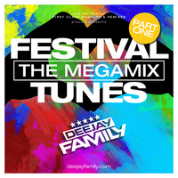 FESTIVAL TUNES (PART ONE) by DEEJAY FAMILY