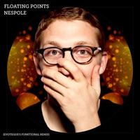 Floating Points_Nespole(Evoteque's Funktional Remix) by DJ Evoteque