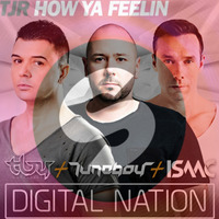 How Digital Nation Ya Feelin? - Technoboy + Tuneboy + Isaac vs TJR (LDA Mashup) by LuxDelAno