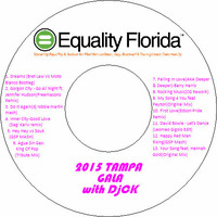 2015 Tampa Equality Gala with DjCK by DjCK