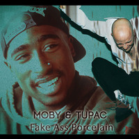 Moby &amp; Tupac - Fake Ass Porcelain (A.aron Mashup) by DJ A.aron
