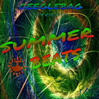 SUMMER BEATS VOL. 1 by DJ FRIENDZ