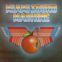 Miami Sound Machine - Dr. Beat (ReLex Edit) by ReLex