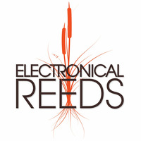 Electronical Reeds on Sweat Lodge Radio #001 w/ Antoine Pilgrim & Felix Cage by Electronical Reeds