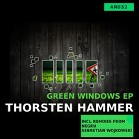 Thorsten Hammer - Green Windows (Negru Remix) / Snippet by Ametist Records