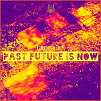 Past Future Is Now by Tangerine Tom