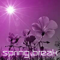 Spring Break by Rene Deepreen