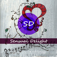 Sensual Delight - Dem Herzen folgen [Only Vinyl Mixset] by Sensual Delight