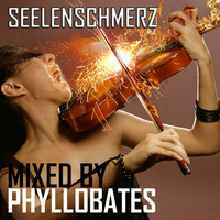 Seelenschmerz mixed by Phyllobates // Free Download by Phyllobates