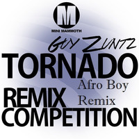 Guy Zunts - Tornado (Afro Boy Remix) by Afro Boy