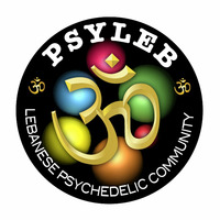 Psyleb Tribe Dance by Cyber Dragon