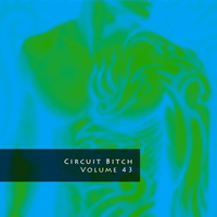 Circuit Bitch, Volume 43 by Brian Johnson (@sfCircuitQueen)