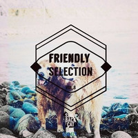 FRIENDLY SELECTION VOL.8 - BRUNO KAUFFMANN FEAT ANN SHINE &quot;THE WORLD IS LOSING FAITH&quot; JL AFTERMAN REMIX by bruno kauffmann