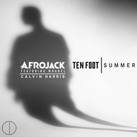 Ten Foot Summer (CD Mashup) by DJ CD