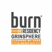 Burn Residency 2014 - Cleaning my Ears - Grinsphere by GrinSPhere