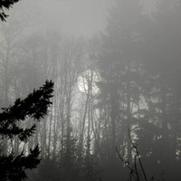 Moon fog by Kaos Wolf