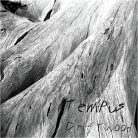 Tempus - "Driftwood" by El Greebo & The Tempus Collective