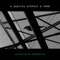 12. conscious segments by a quality without a name