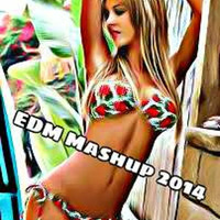 @OfficialWillDeane EDM Mashup 2014 by @OfficialWillDeane