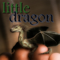 little dragon by Dan C E Kresi