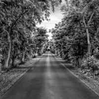 Glaubrecht - Last Road by Glaubrecht