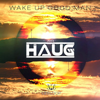 Mr. Haug - Wake Up Good Man by Leeloop