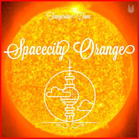 Spacecity Orange by Tangerine Tom