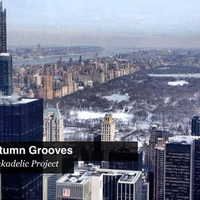 PUNKADELIC.PROJECT105@Autumn.Grooves(100bpm) by demomix.es