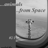 animals from space by suiside