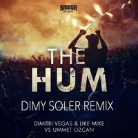Dimitri Vegas & Like Mike - The Hum (Dimy Soler Remix) by Caroline Silva