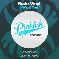 Rude Vinyl - I Want You (Tommy Mc Remix) [Pink Fish Records]  OUT NOW HIT BUY!! by Tommy Mc