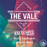 HRR135 - Aspen Bizarre Disco - The Vale (Bruno Kauffmann Remix) by House Rox Records