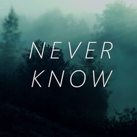 Never Know by Last Island