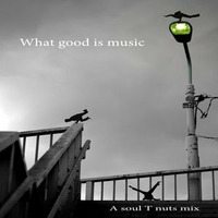 Soul T Nuts - What good is music by Dj Soul T Nuts