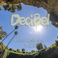 DeciBel - Liquid DnB Mix Vol 9 by DeciBel (AUS)