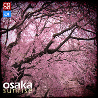 Osaka Sunrise 015 by rapa