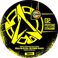 Vini Selecta & U Stone feat Lofti - Blaze Up Di Fire (Dj Panik Remix) - Psychodynamik 02 by Psychoquake Records
