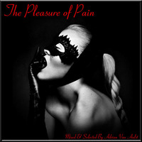 The Pleasure Of Pain (BIONIC LOVE MIX) by Adrian Van Aalst