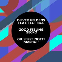 Oliver Heldens Feat. Flo Rida - Good Feeling Gecko (Giuseppe Notti MashUp Radio Edit) by Giuseppe Notti