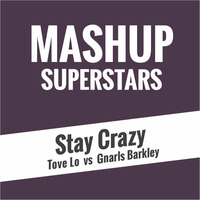Stay Crazy by Mashup Superstars