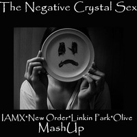 TrashMash -   The Negative Crystal Sex 7  000 by TrashMash