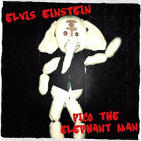 Elvis Einstein - Pico The Elephant Man (FREE DOWNLOAD!!!) by Elvis Einstein