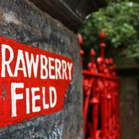 Rawberry Fields by Dr Radio Show