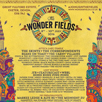 The Wonder Fields Festival Mixtape 2016 by Naturalbeatz