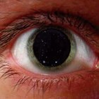 Aleksander La&scaron;ič