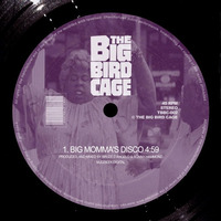THE BIG BIRD CAGE - BIG MOMMA'S DISCO (EP) (Mjuzieekal Education Digital) by The Big Bird Cage