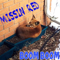 Boom Boom vs Badd riddim by missinred