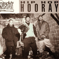 Naughty By Nature - Hip Hop Hooray (Wonderboy Remix) by Wonderboy